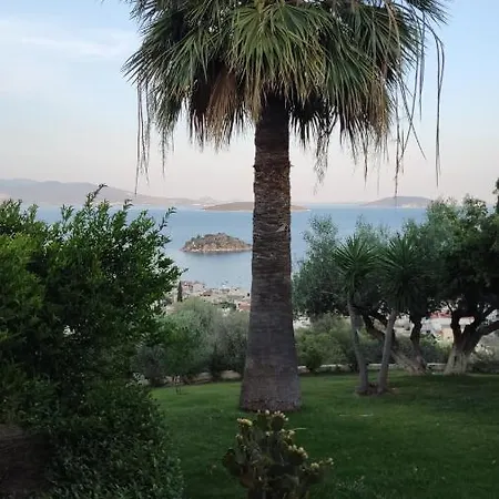 Maison d'hôtes Antika 6 *