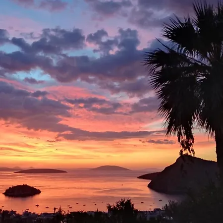 Guest house Antika 6 Tolo