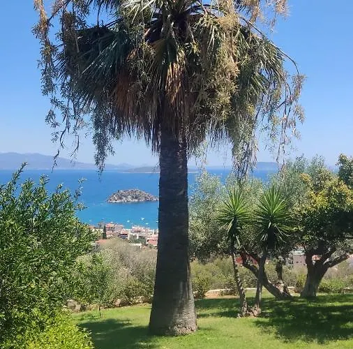 Antika 6 Konukevi Tolón