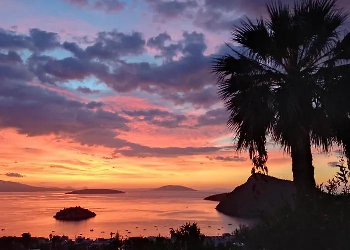 Πανσιόν Antika 6 Τολό